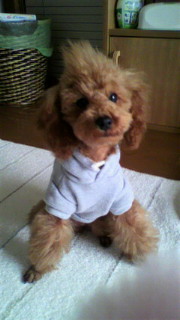2011022709270000.jpg