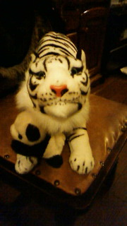 201202272147000.jpg
