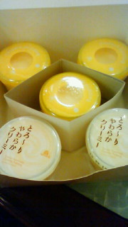 201203081715000.jpg